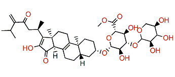 Pandaroside E methyl ester